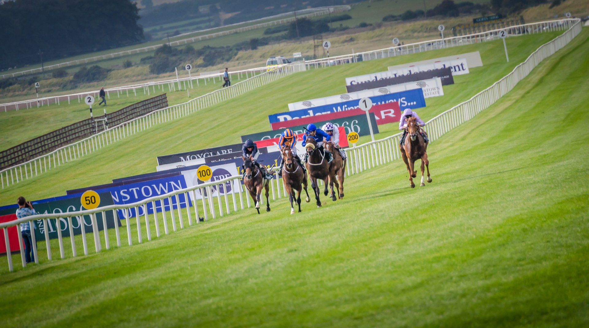 A field of runners racing up the finish straight at Punchestown, with the rails and sponsor boards lining the track.