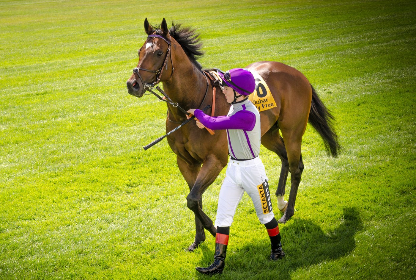 A racehorse with a jockey up, walking off the track on bright green grass after a race.